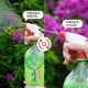 Beverage bottle universal nozzle for watering flowers, household disinfection sprayer, gardening watering can, Coke Sprite nozzle