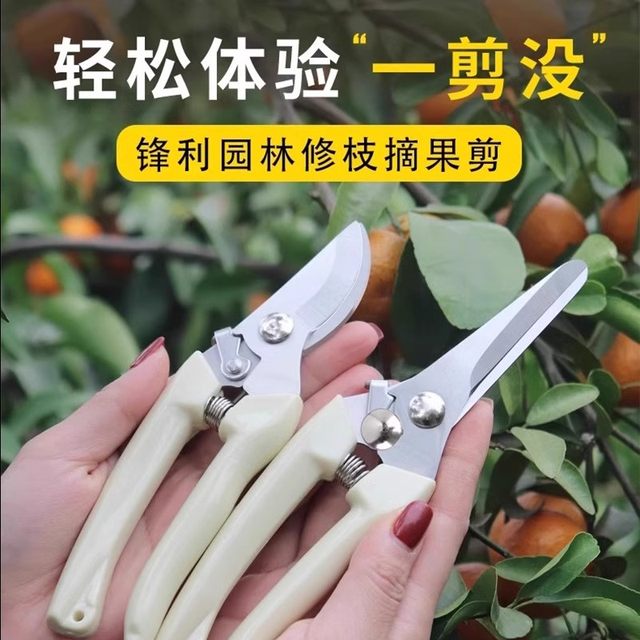 Branch cutting scissors, special flower scissors, gardening garden pruning, gardener's scissors, grafting, powerful picking, labor-saving pruning of fruit trees