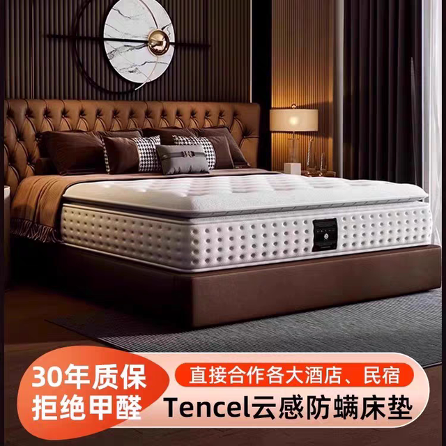 Top 10 Famous Brands Five-Star Hotel Latex Memory Foam Independent Bag Spring Home Bedroom Mattress Soft Pad