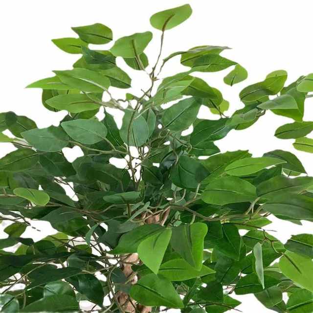 
Factory simulation potted banyan tree, artificial tree, small tree, green plant, landscape gardening, wedding, B&B, home decoration ornaments
