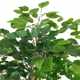 
Factory simulation potted banyan tree, artificial tree, small tree, green plant, landscape gardening, wedding, B&B, home decoration ornaments