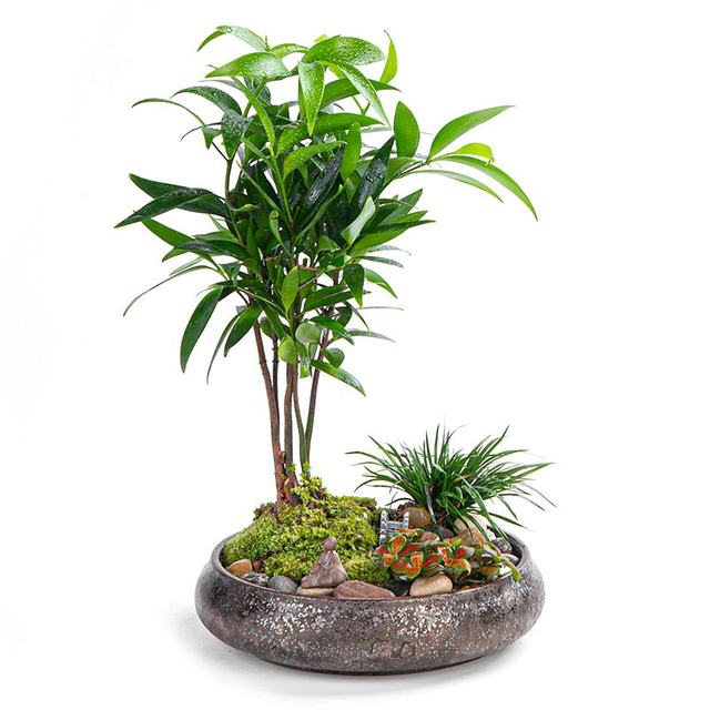 Retro creative ceramic flowerpot ornaments large round potted home gardening breathable succulent flowerpot base