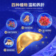 Nanfang Xiehe Qianquan Pueraria Mirifica and Rhodiola Rosea Granules Livers