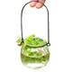 Hanging transparent glass vase small pumpkin hanging bottle simple hydroponic flower appliance indoor gardening home decoration bottle