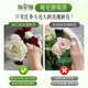 Flowers Yunnan base straight hair red roses lilies sunflowers daisies home flower inserts fresh cut flowers wholesale
