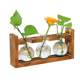 Creative wooden frame hydroculture glass vase green dill water culture plant flower device office home gardening desktop display