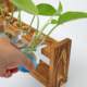 Creative wooden frame hydroculture glass vase green dill water culture plant flower device office home gardening desktop display