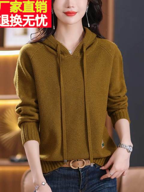 Mom's new autumn and winter cardigan sweater women's loose outer hooded sweatshirt plus fat large size knitted bottoming top