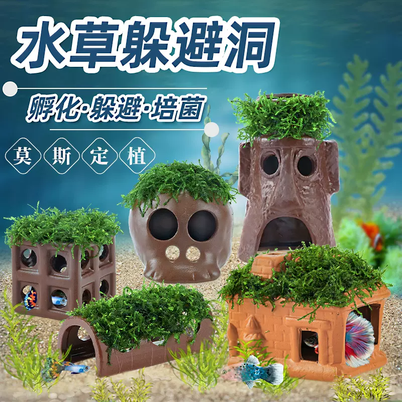 草缸水草阴性水草 新人首单立减十元 21年12月 淘宝海外