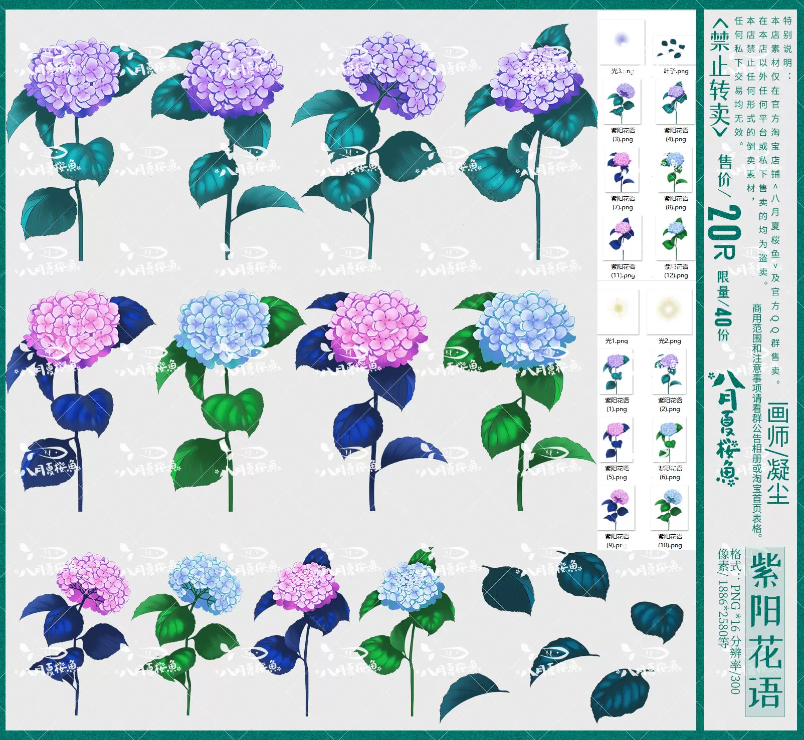 紫陽花語 原創photoshop設計ps素材png紫陽花繡球花限量網可商