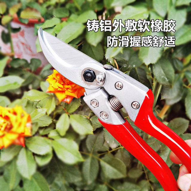 Original imported Japanese Alice VS-789XZ fruit tree flower pruning one-handed gardening tools pruning scissors