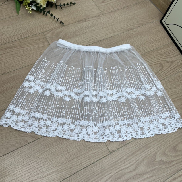 The new star skirt new lace versatile bottoming see -through skirt skirt single -layer autumn and winter swing skirt buttocks
