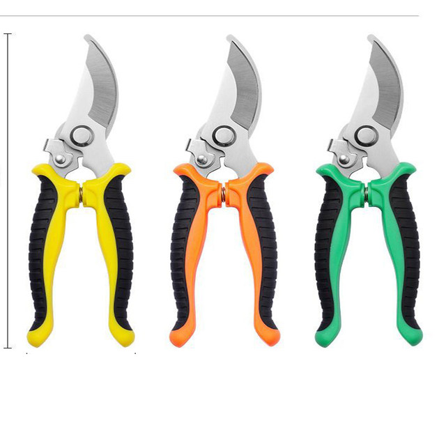Branching, cutting knife, fruit tree scissors, house shear flowers picking fruits, cutting branches, scissors, greening grafting garden gardening scissors
