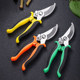 Branching, cutting knife, fruit tree scissors, house shear flowers picking fruits, cutting branches, scissors, greening grafting garden gardening scissors
