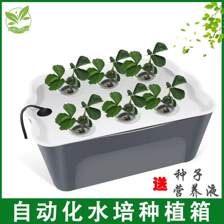 水培蔬菜种植箱无土栽培设备家庭阳台种菜机室内自动