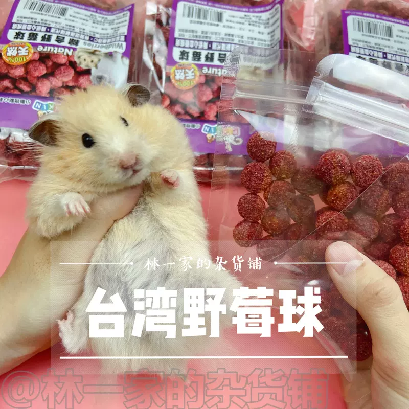 仓鼠零食台湾野莓球花枝鼠金丝熊兔子零食品牌零食营养 仓鼠零食台湾野莓球花枝鼠金丝熊兔子零食品牌零食营养