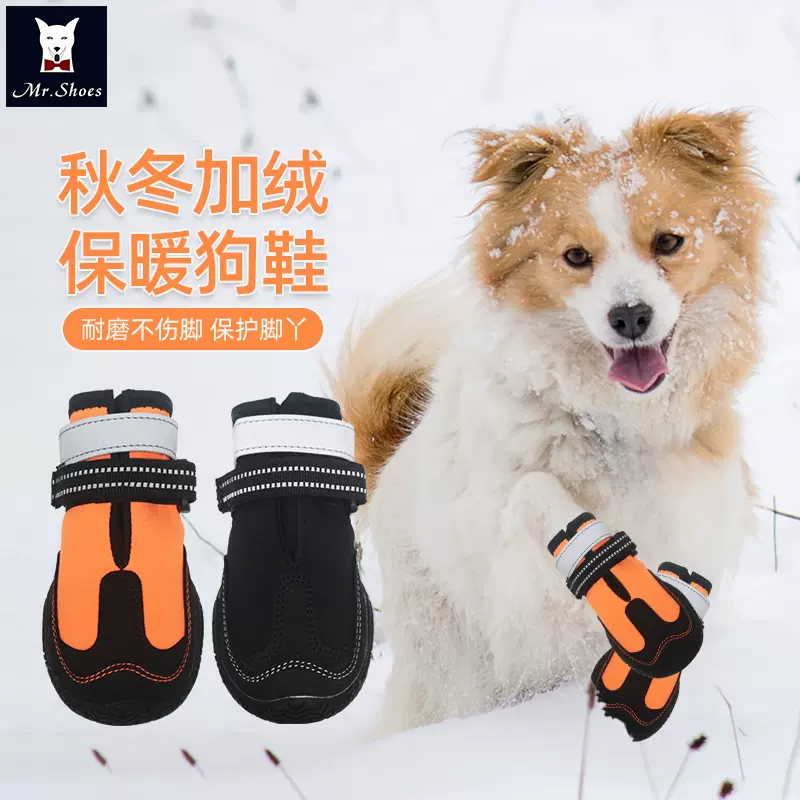 狗脚鞋 新人首单立减十元 21年10月 淘宝海外