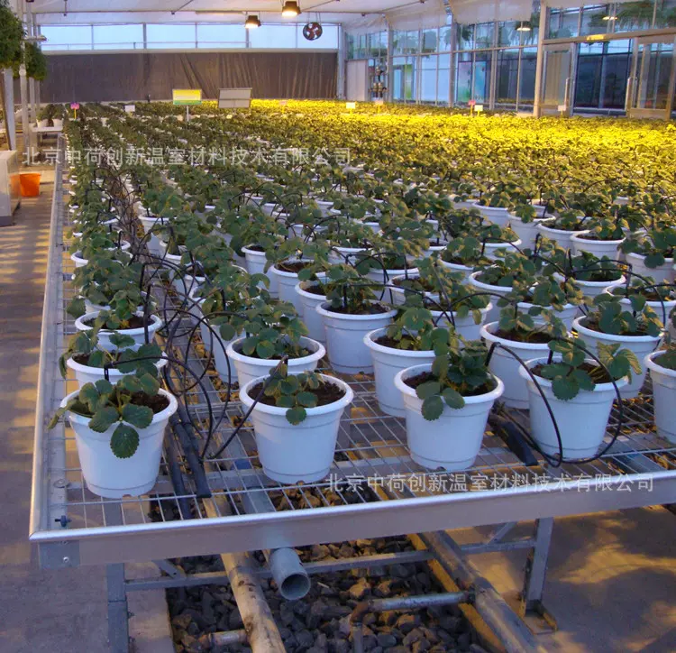 温室大棚热镀锌苗床带网片移动式育苗培育花苗床厂家 温室大棚热镀锌苗床带网片移动式育苗培育花苗床厂家