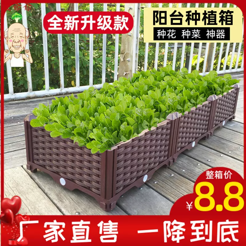 蔬菜种植箱特大阳台种菜盆长方形家庭屋顶菜园塑料种菜花