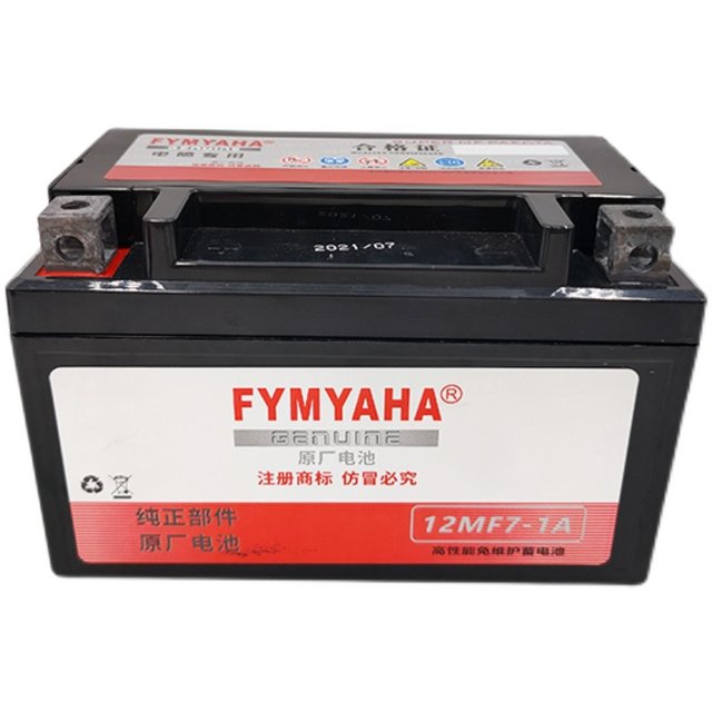 Yamaha Lingying Xunying Liying Patrol Eagle Shangling 125 scooter battery maintenance-free battery 12V