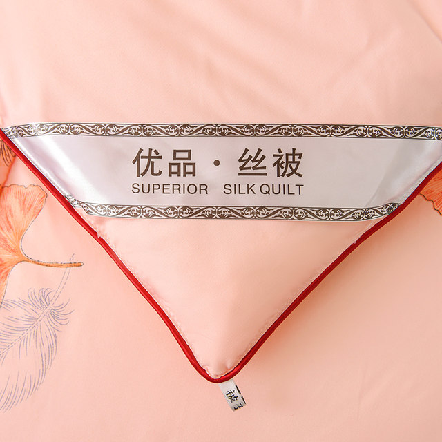 Thickened quilt silk winter quilt warm silk quilt core spring autumn winter space double bedding cotton tung winter special price
