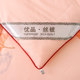 Thickened quilt silk winter quilt warm silk quilt core spring autumn winter space double bedding cotton tung winter special price
