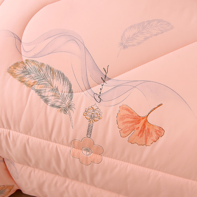 Thickened quilt silk winter quilt warm silk quilt core spring autumn winter space double bedding cotton tung winter special price
