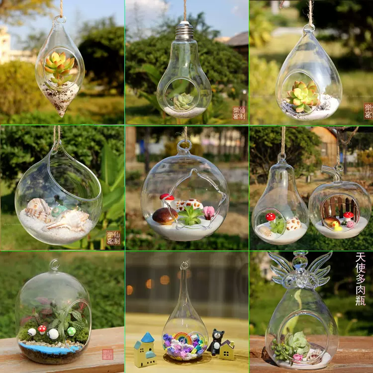 悬挂玻璃花瓶多肉植物花盆微景观生态瓶透明圆形吊瓶