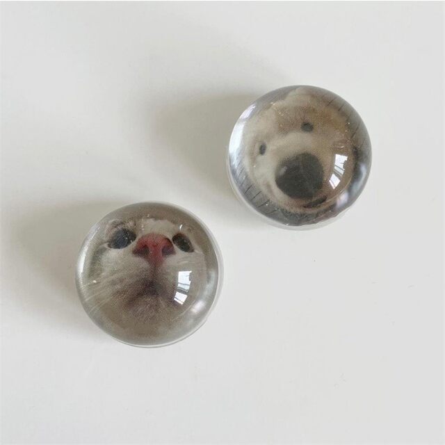 Cat Crystal Ball Basin Smedy Smedy Smedy Korean INS Same Lazy Desktop Passenger Paste Transparent Phone Book
