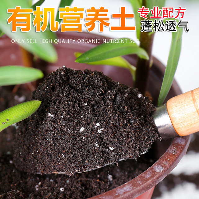 Gardening supplies nutrient soil nutrient solution rose big fertilizer king watering can ceramsite multicolored stone general fertilizer for flowers and plants