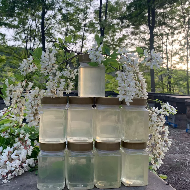 3送1新蜜21五月甘肃新鲜洋槐花蜜天然农家孕妇宝宝 3送1新蜜21五月甘肃新鲜洋槐花蜜天然农家孕妇宝宝