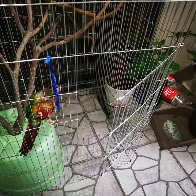 Gallery Detail: Galvanized Wire Mesh Bird Cage Mesh Breeding Mesh Chicken Zombie