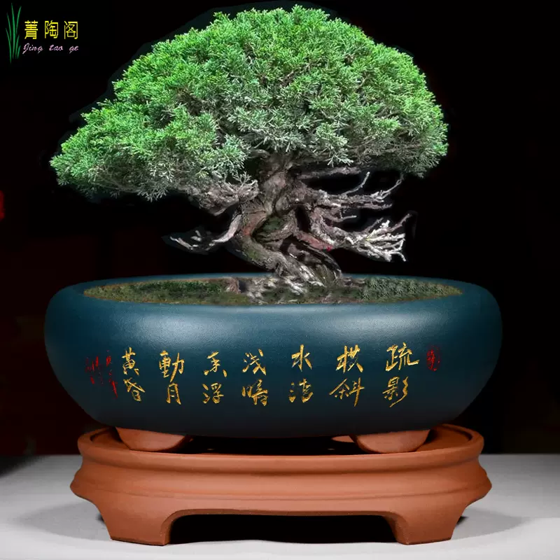 紫砂花盆大口径椭圆形植物造景盆景盆老桩多肉榕树