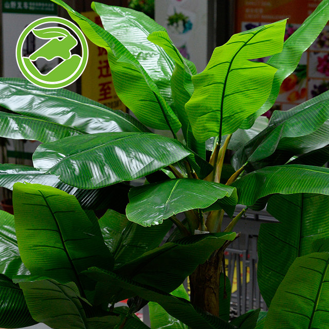 Large -scale simulation Basana Tree Room Hotel Bonsai Banana Tree Fake ...