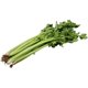 Celery seedlings four seasons small parsley celery seedlings vegetable seeds celery seedlings balcony potted rapeseed seedlings