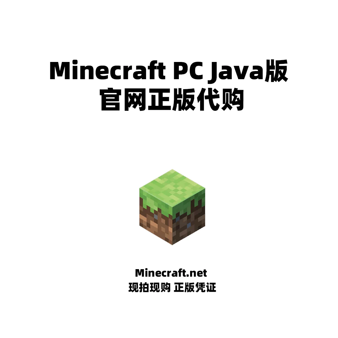 电脑minecraft 新人首单立减十元 2021年11月 淘宝海外