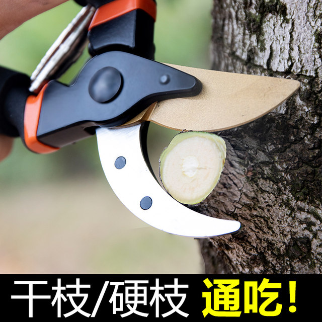 Garden scissors, German flower scissors, branch scissors, pruning scissors, fruit tree scissors, garden scissors, garden scissors, Japanese scissors