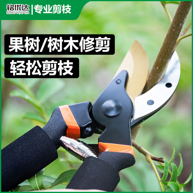 Garden scissors, German flower scissors, branch scissors, pruning scissors, fruit tree scissors, garden scissors, garden scissors, Japanese scissors