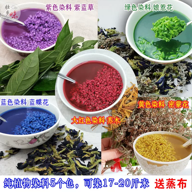 广西五色糯米饭天然植物染料新鲜红蓝草密蒙花染饭