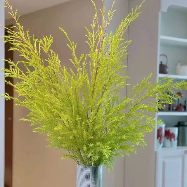 A-grade thousand-layer gold flowers Yunnan base straight hair gold fragrant willow fresh cut flowers flower arrangement can be dried flowers