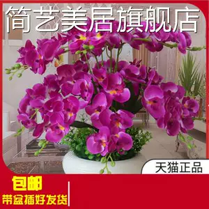 胡蝶兰 新人首单立减十元 22年9月 淘宝海外