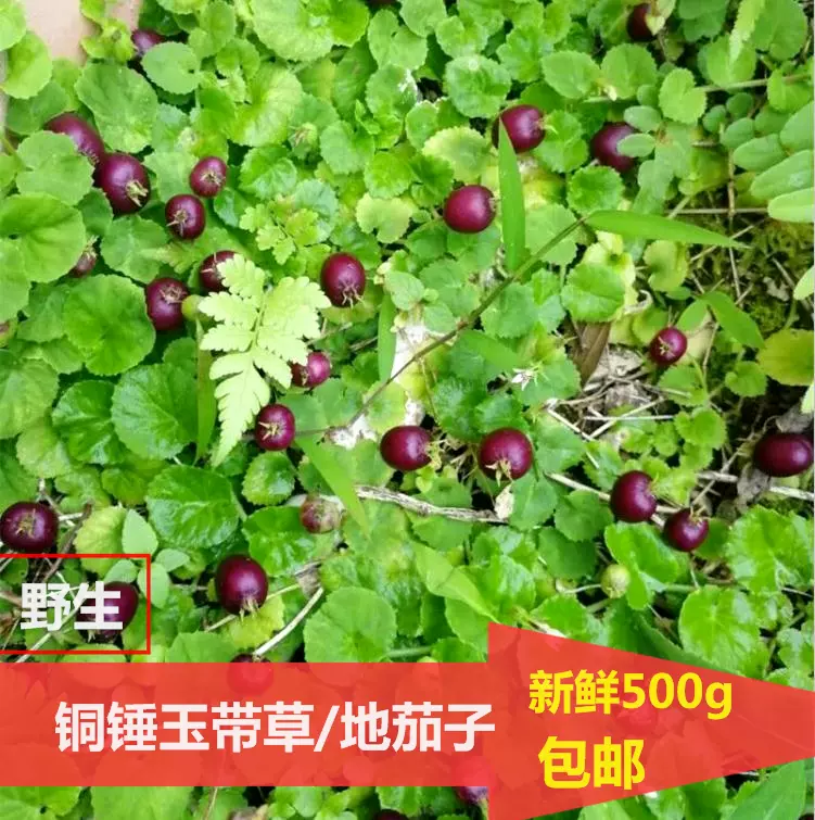 小萍的店 網友評價 菜單 澎湖西嶼鄉小吃 愛食記