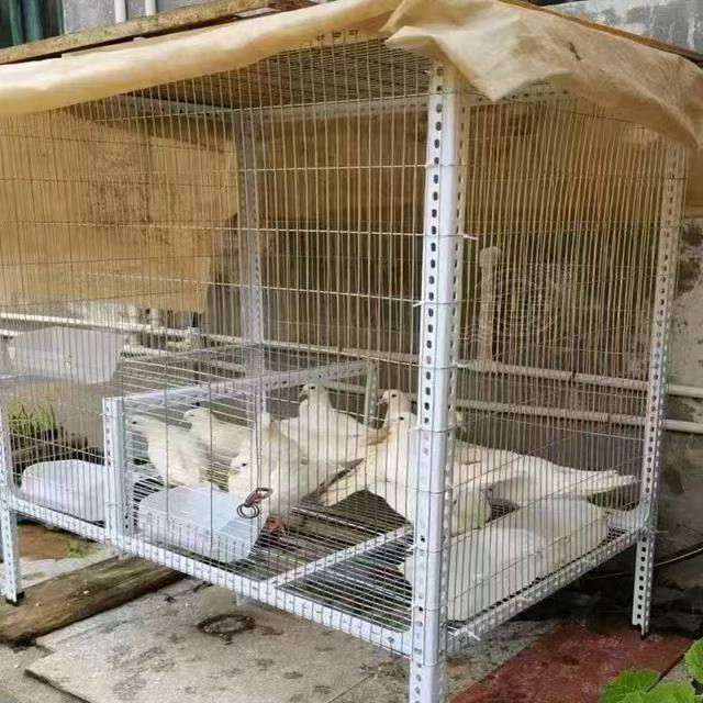 Galvanized wire mesh bird cage mesh chicken rabbit cage mesh homemade cage material protective fence breeding mesh steel wire mesh mesh