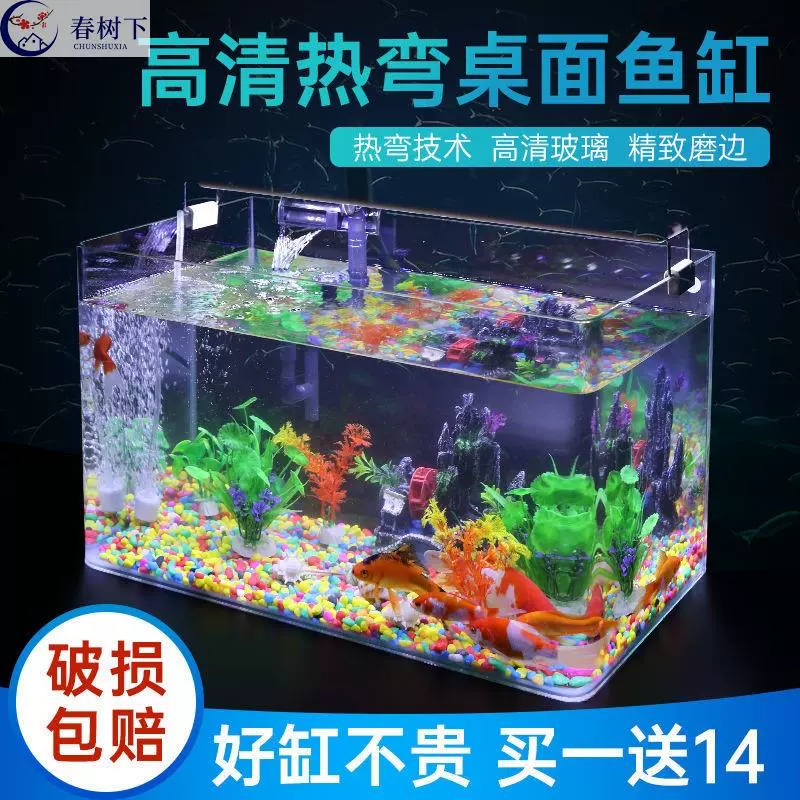 裸缸50cm 新人首单立减十元 21年12月 淘宝海外