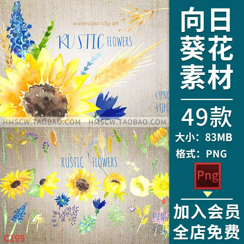 复古风格向日葵太阳花花朵海报卡片手绘水彩png免抠设计装饰素材