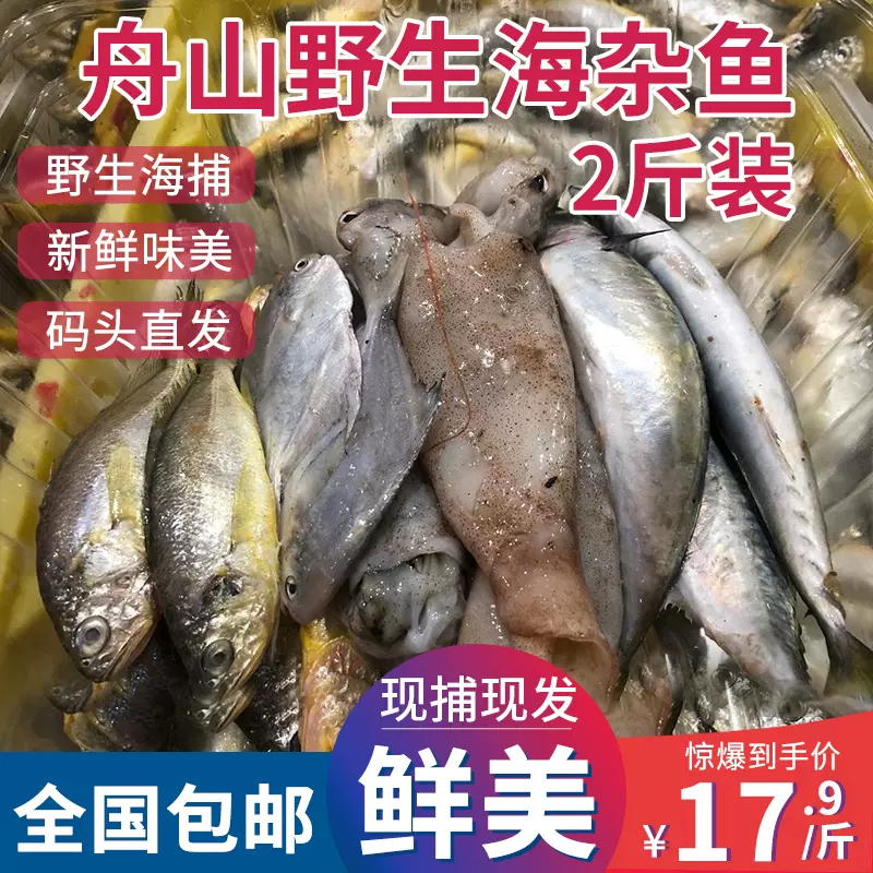 深海鱼类 新人首单立减十元 21年12月 淘宝海外