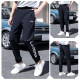 Li Ning sweatpants summer quick-drying pants men's ice silk thin casual sweatpants new woven running tying trousers
