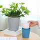 Creative automatic water-absorbing lazy flower pot plastic office desktop large and small home green radish succulent gardening flower pot