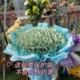 Semi-finished money flower bouquet material package for Chinese Valentine's Day, birthday gift for husband, parents, boyfriend and girlfriend