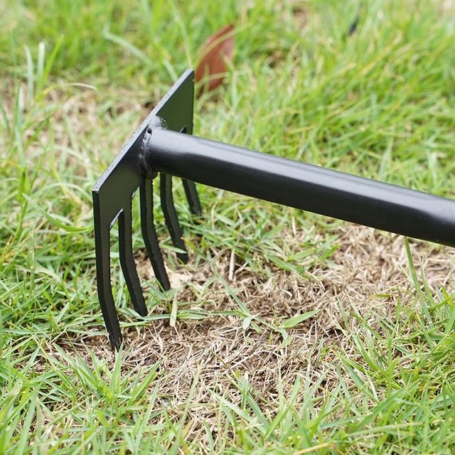 Gardening tools, small shovel, beach, sea-catching artifact set, home flower pot, planting, shovel, planting, vegetables and digging soil